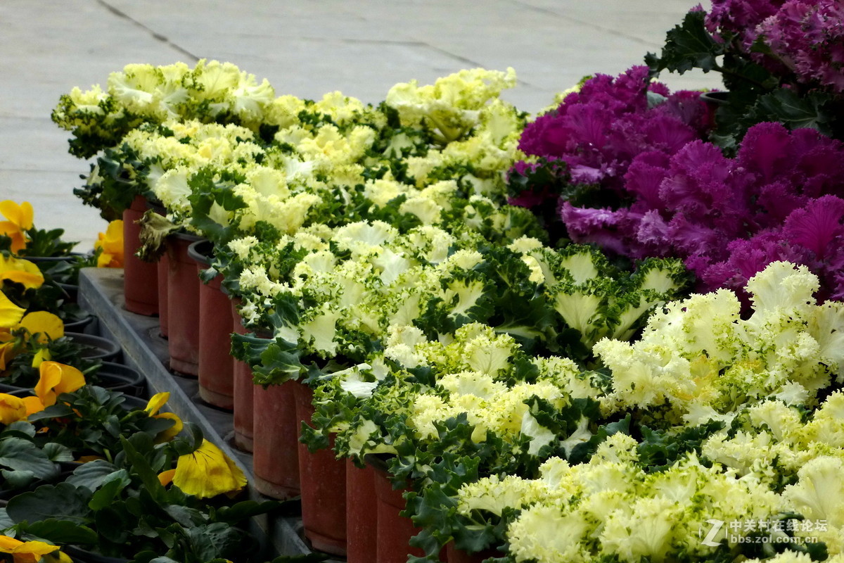 公园里，感想，感拍！