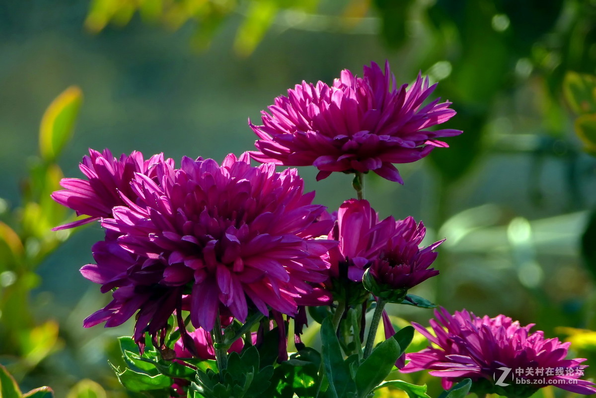 公园里，感想，感拍！