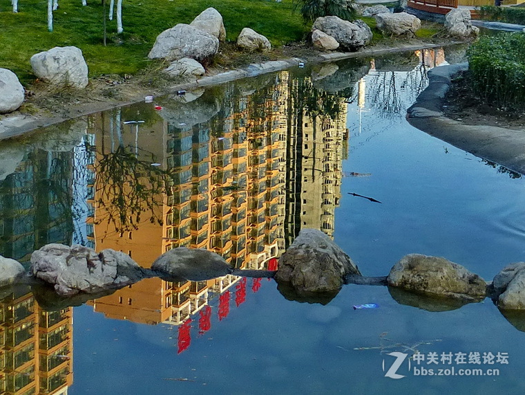 公园里，感想，感拍！