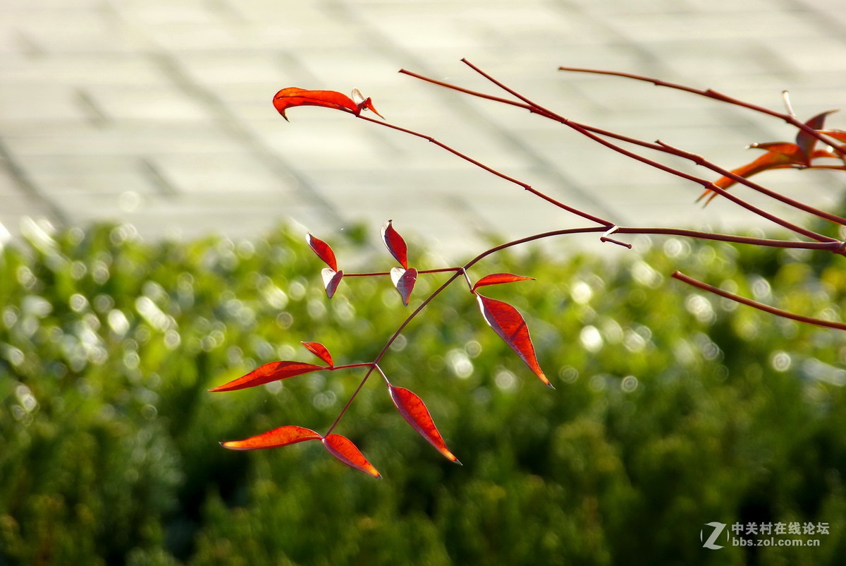 公园里，感想，感拍！