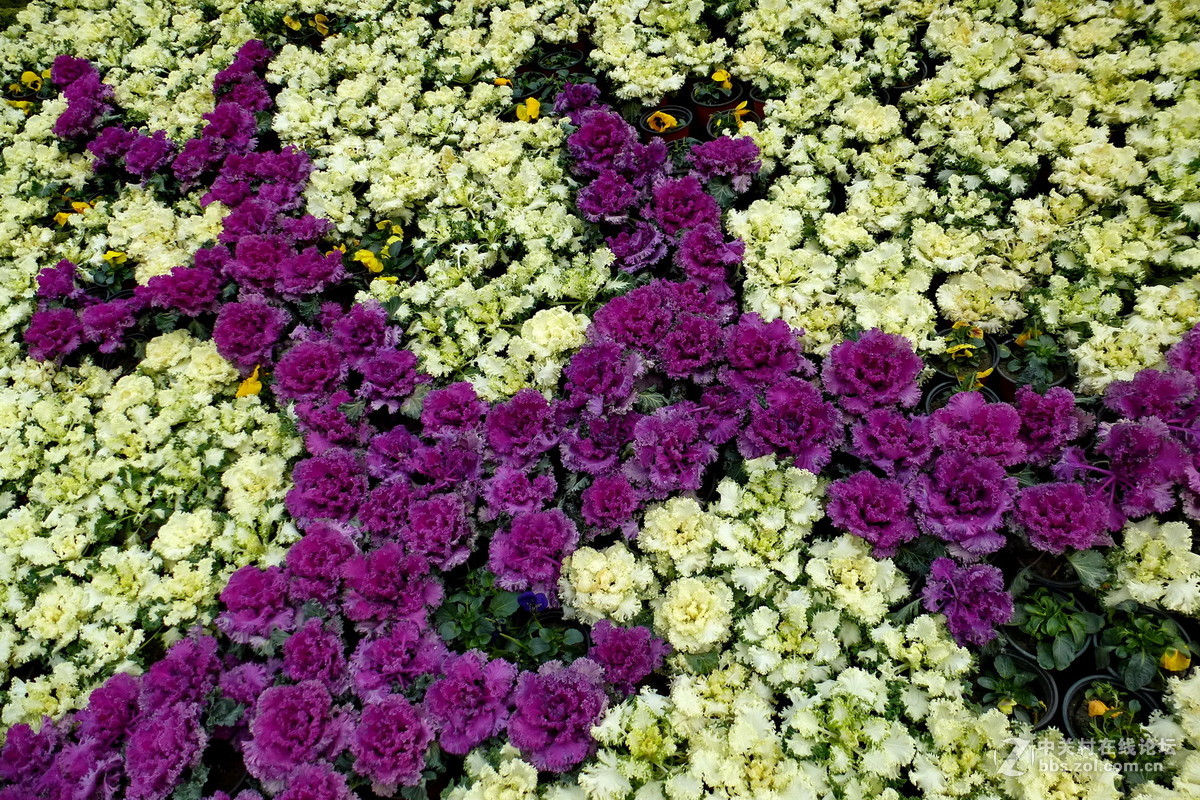 公园里，感想，感拍！