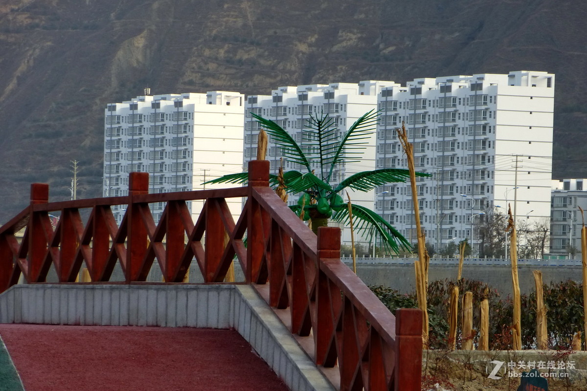 公园里，感想，感拍！