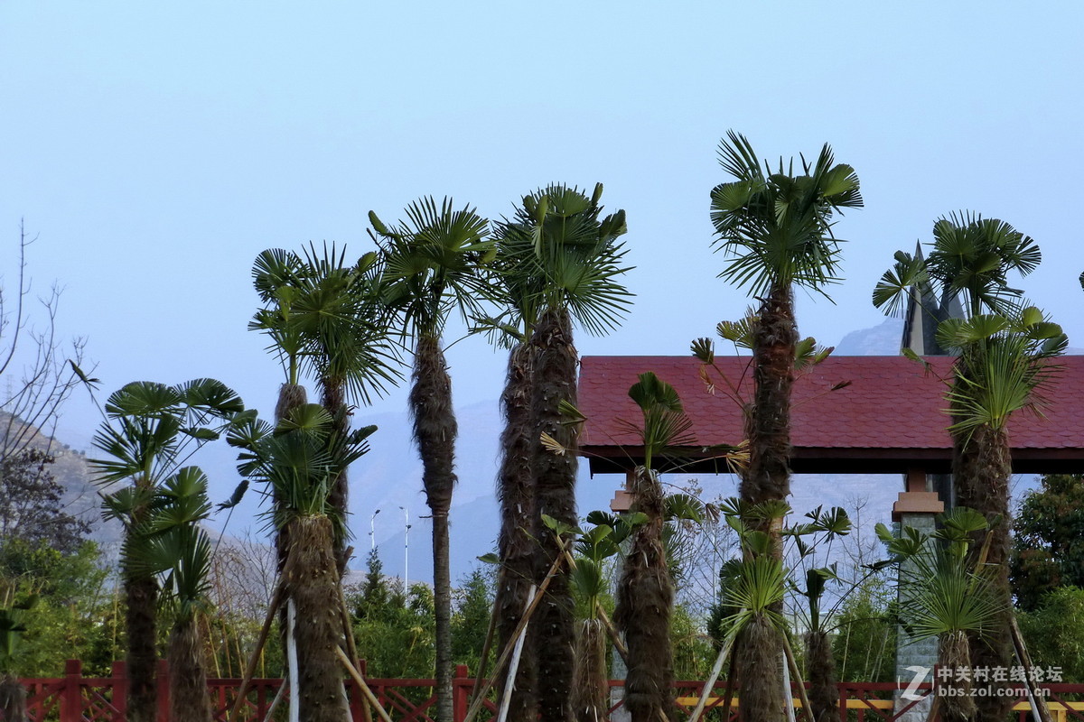 公园里，感想，感拍！