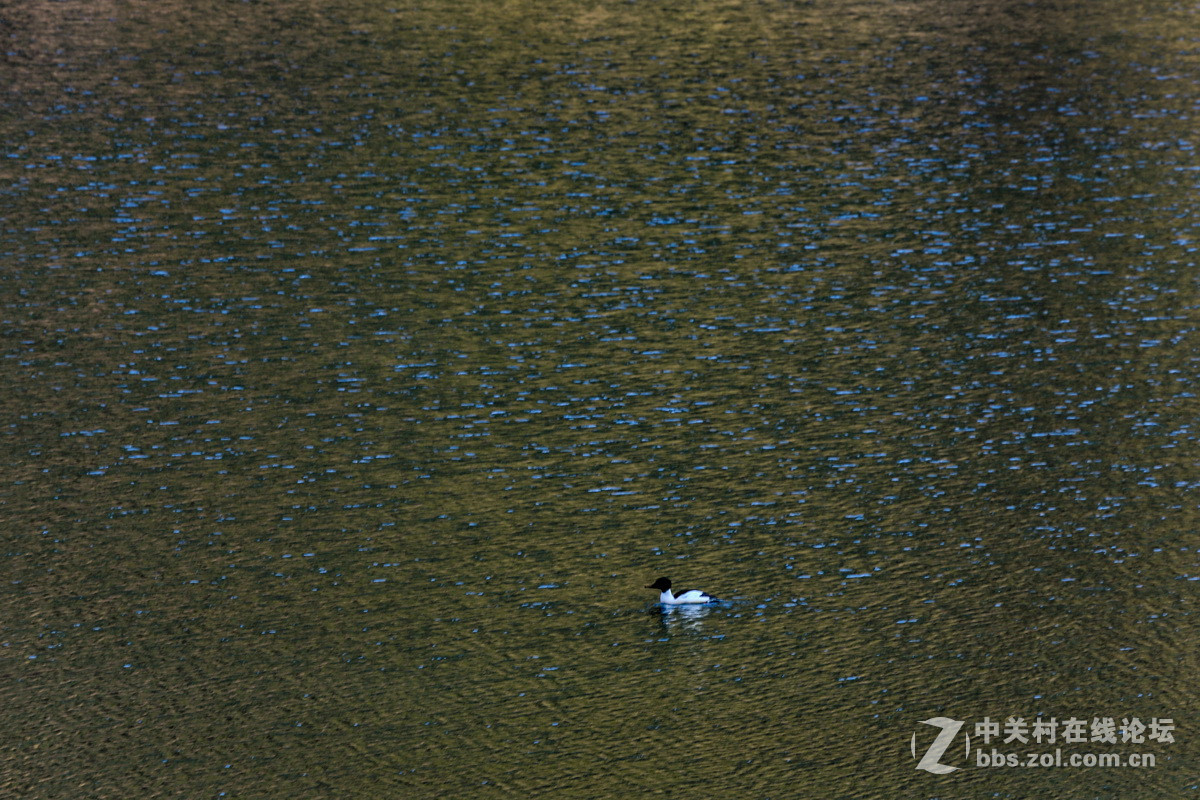 九寨沟的冬景   1