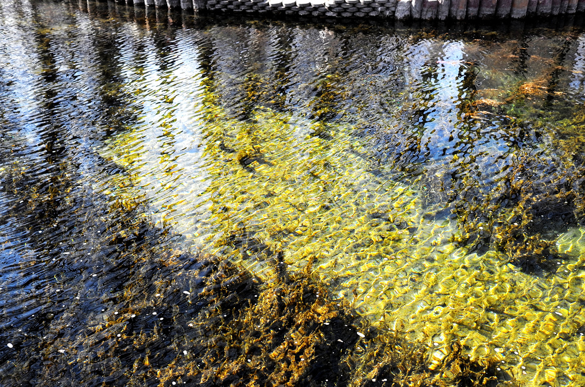 记录X2，【冬日公园】3