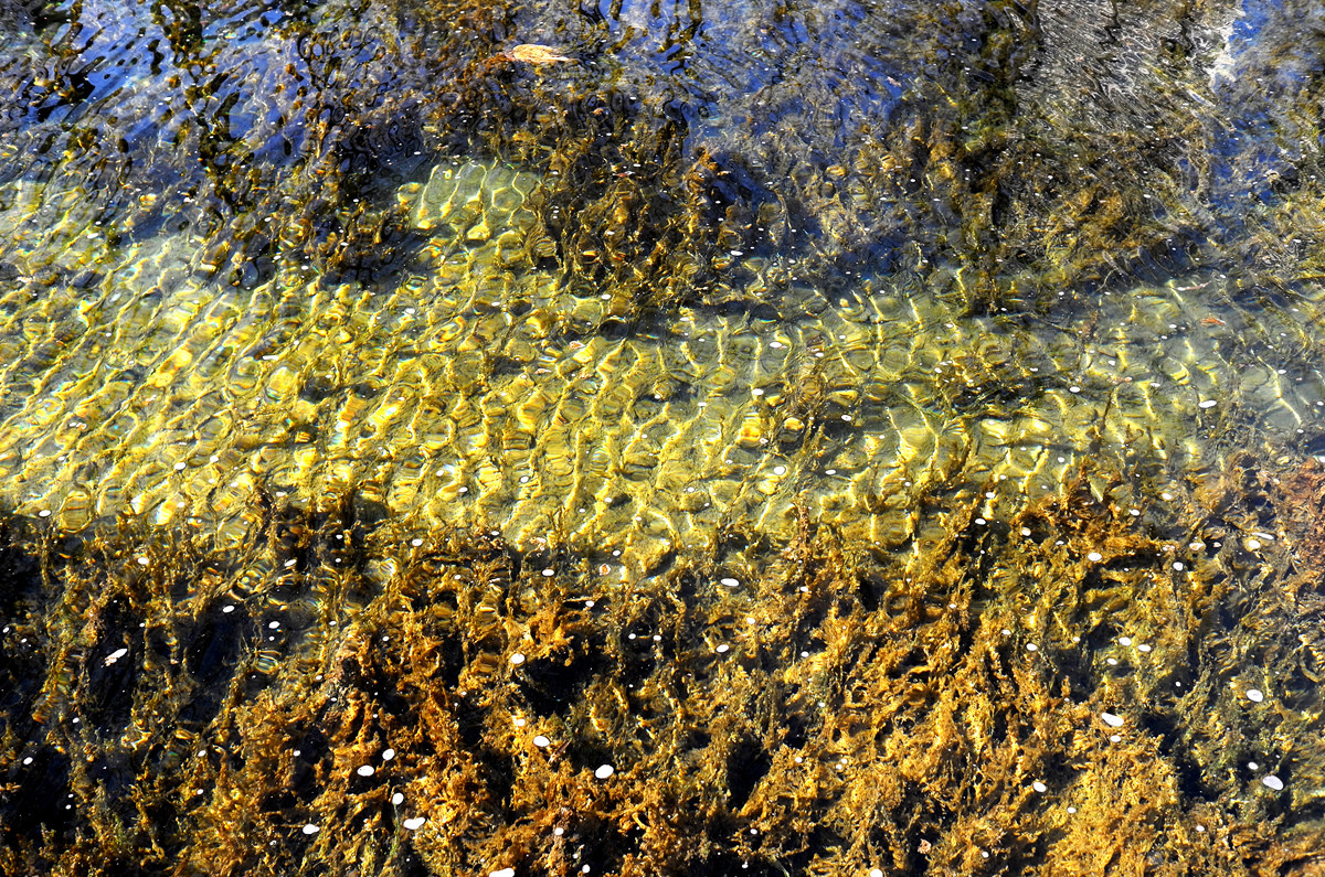 记录X2，【冬日公园】3