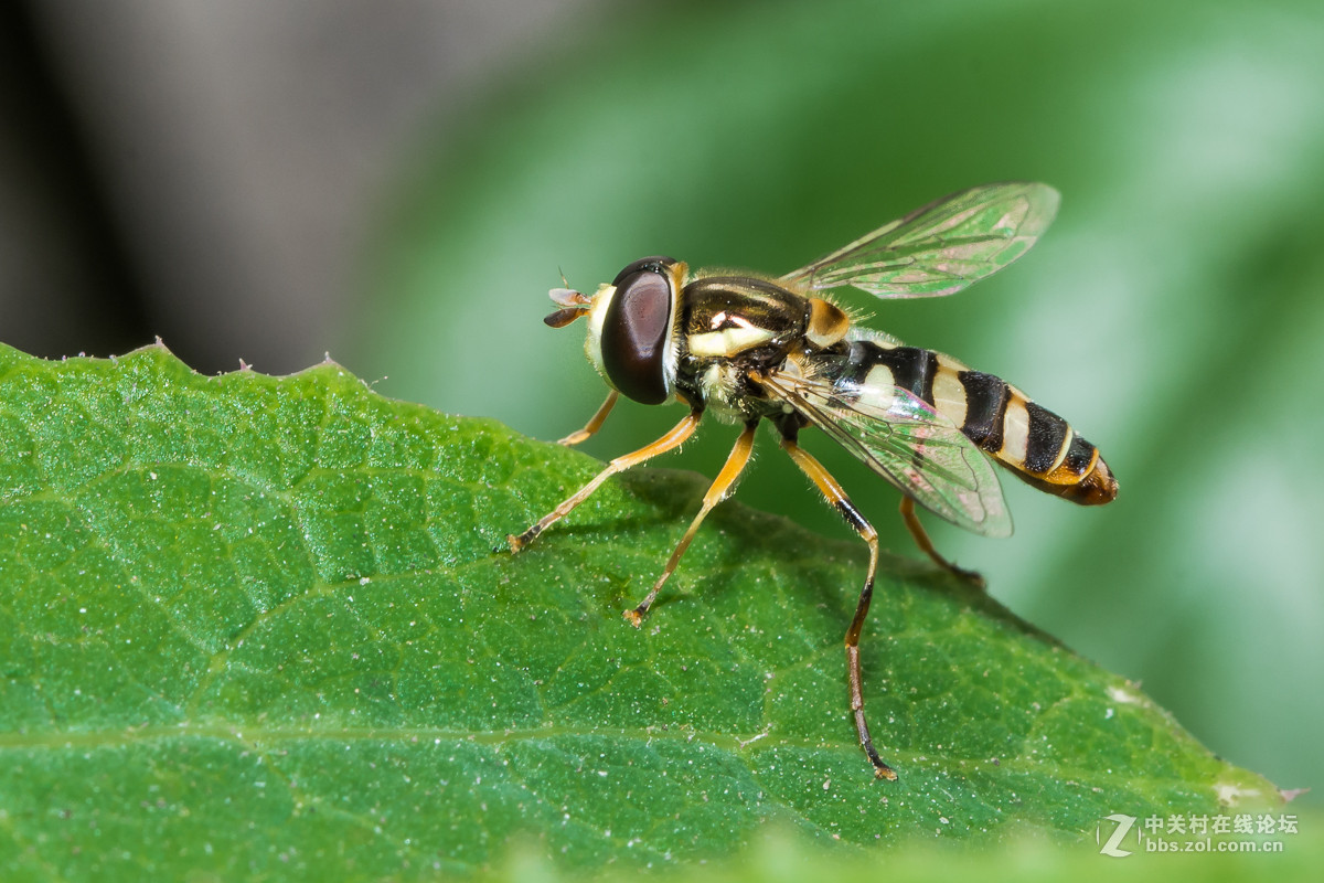 #版主坐堂#[尼康D7100星空(中国)]2015年4月份优秀精华作品总汇
