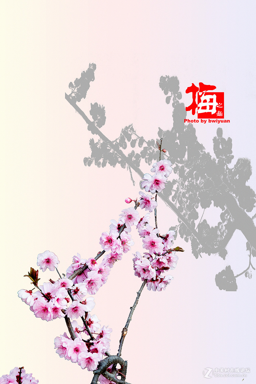 梅花书画图（PS练习）