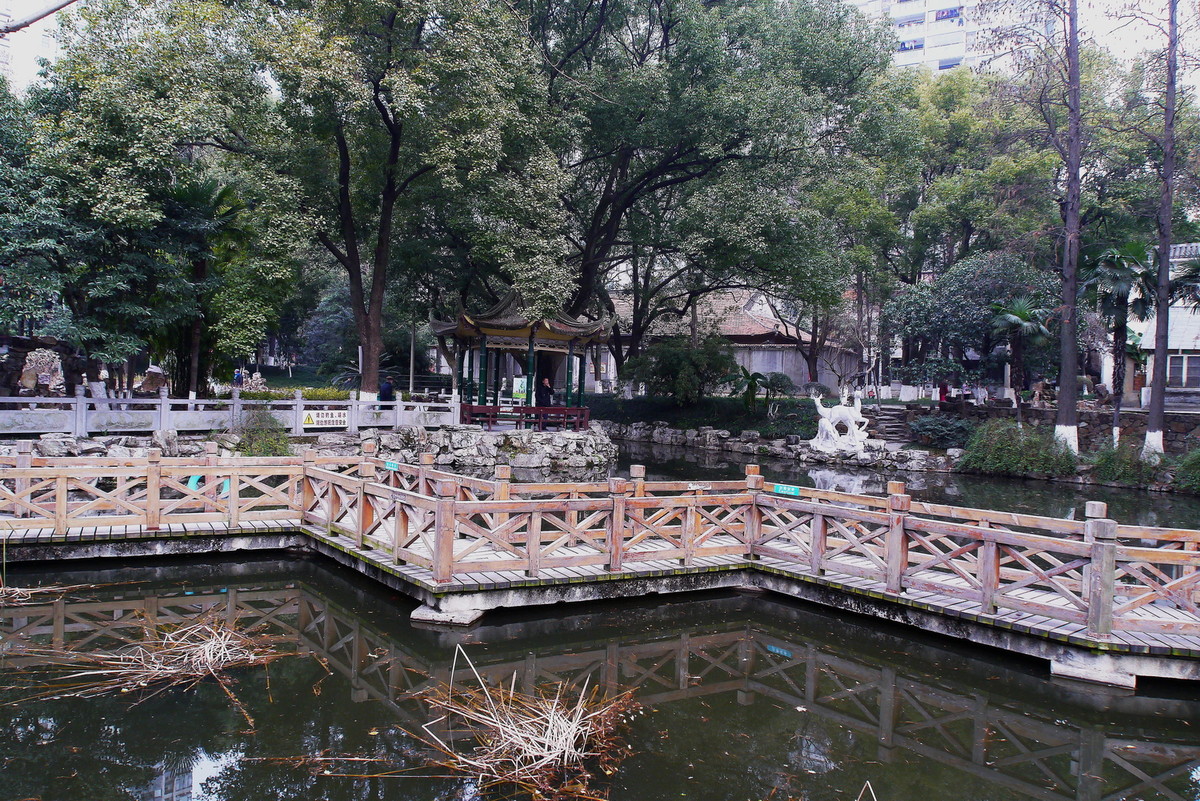 汉阳公园的早晨！