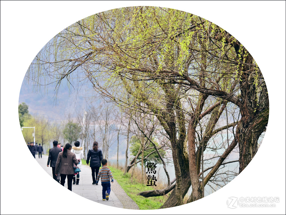 二十四节气之 惊蛰