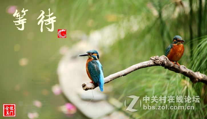 小翠渔获