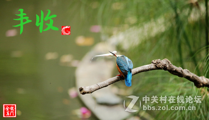 小翠渔获