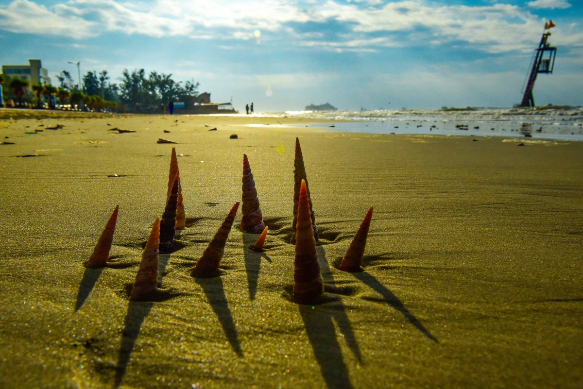 海阔天空净 逐浪踏沙行