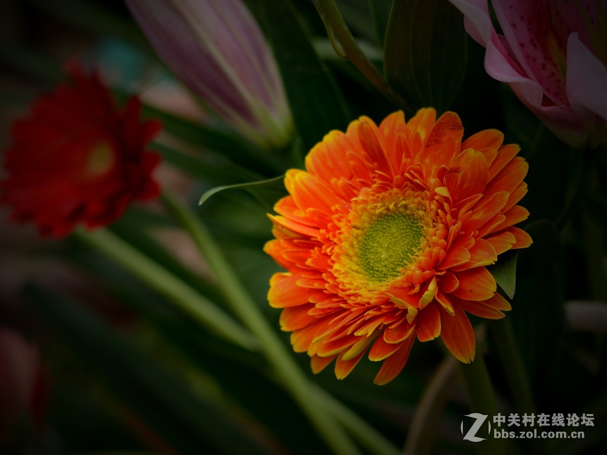 58 1.4g拍深圳花卉世界