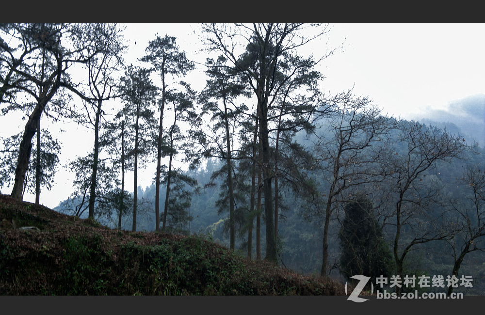 拍照还是舍不得诺基亚（N8）