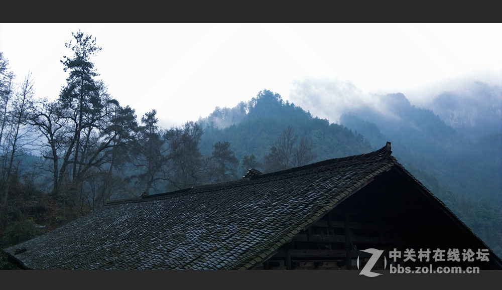 拍照还是舍不得诺基亚（N8）