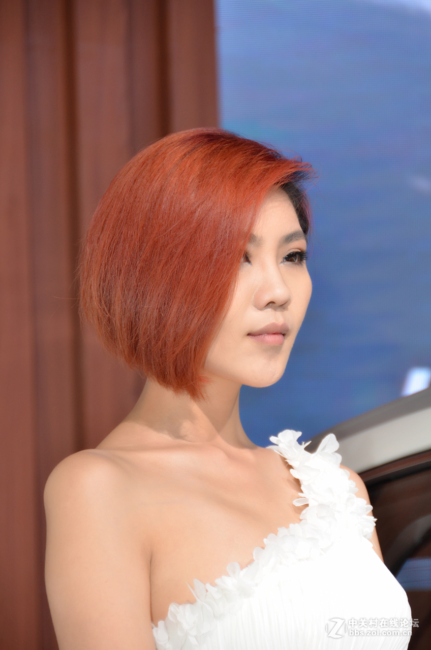 2015年唐山车展（1）