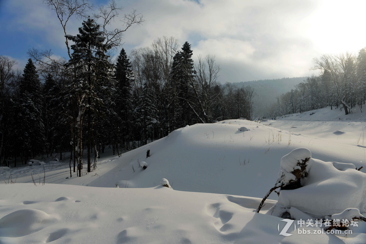 日照雪乡