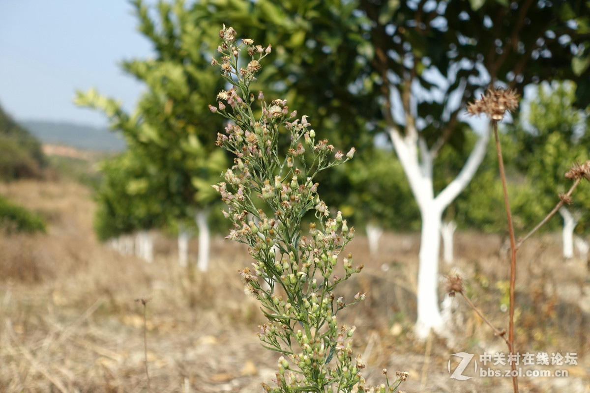 首次玩相机试拍，黑卡M3于我是不是一种浪费？