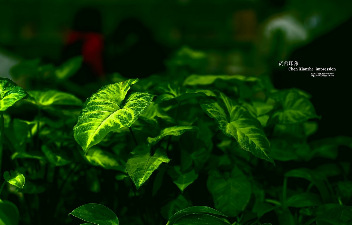 卡尔--蔡司 50mm f/1.4 ZF ---- 宜家习作！！