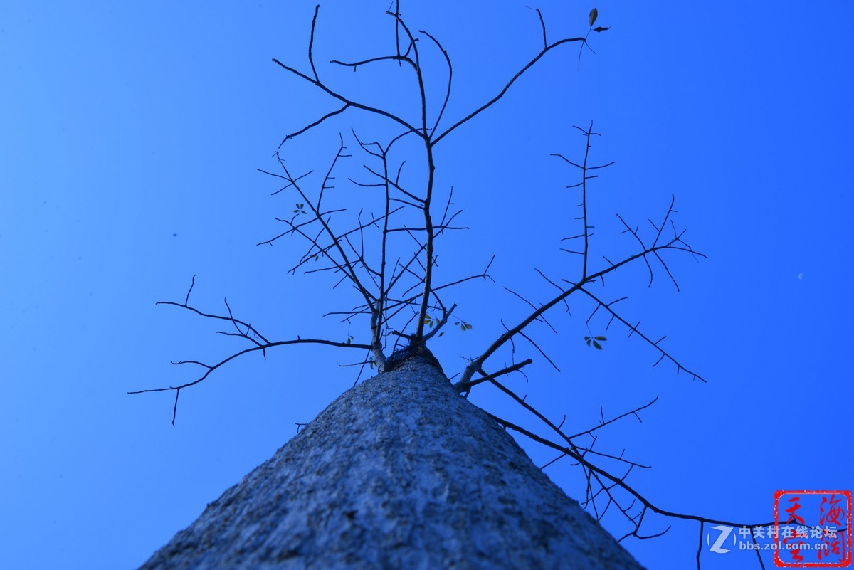 梦园广场随拍--有图