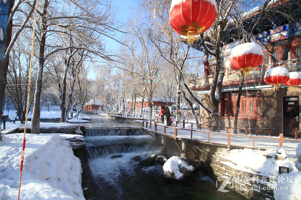 雪后--7D报到
