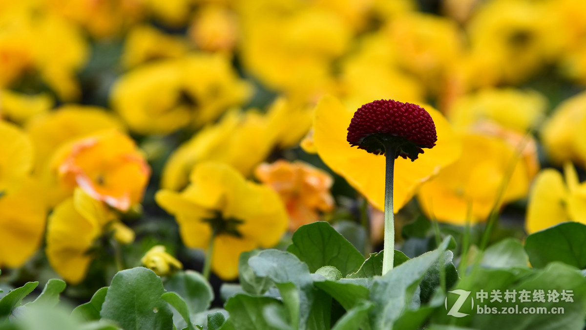 一组随拍，请拍砖。