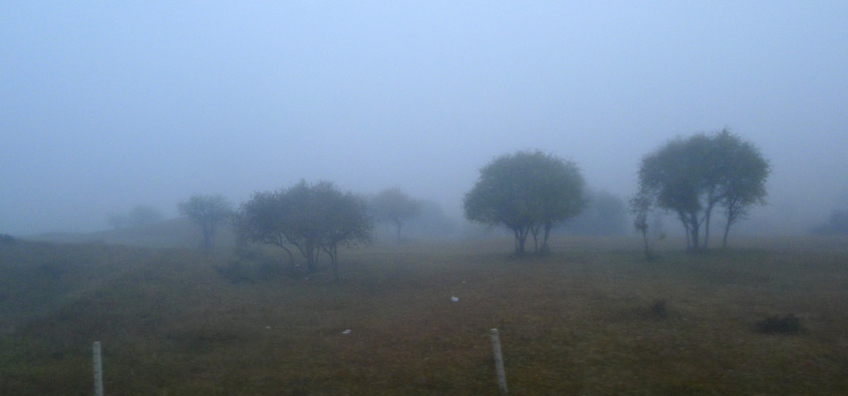 ZOL金秋乌兰布统深度摄影作业（六十六）走出草原／贰