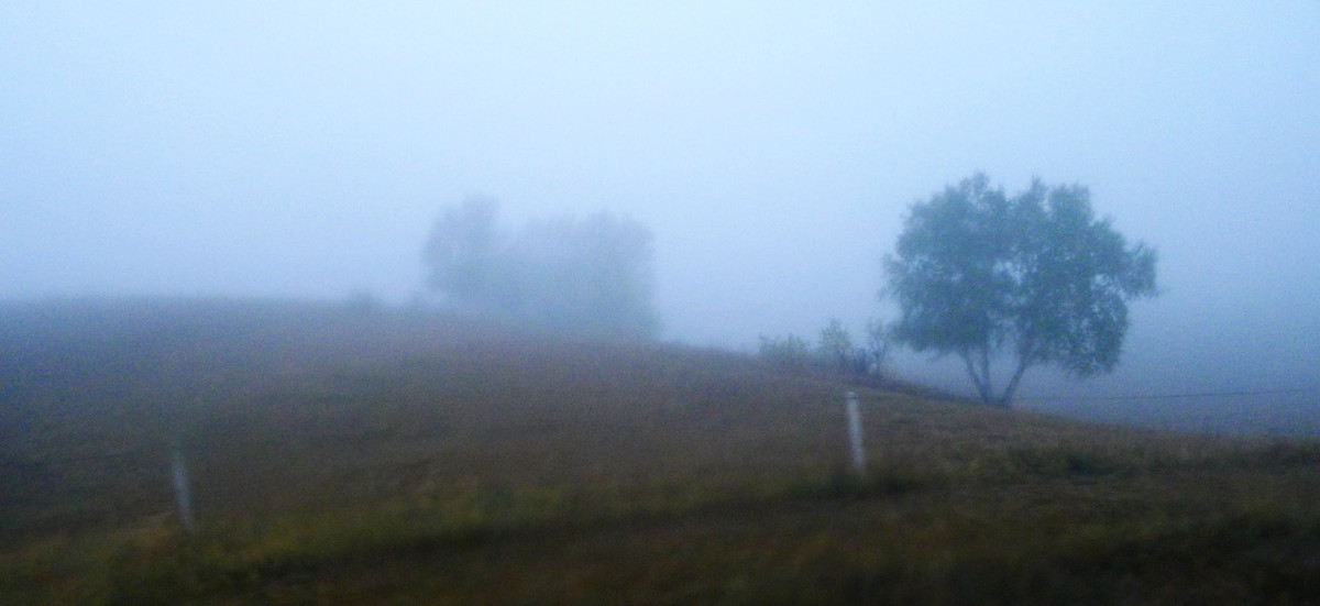 ZOL金秋乌兰布统深度摄影作业（六十六）走出草原／贰