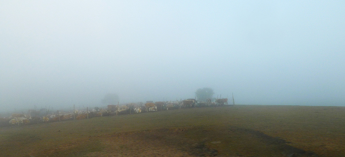 ZOL金秋乌兰布统深度摄影作业（六十六）走出草原／贰