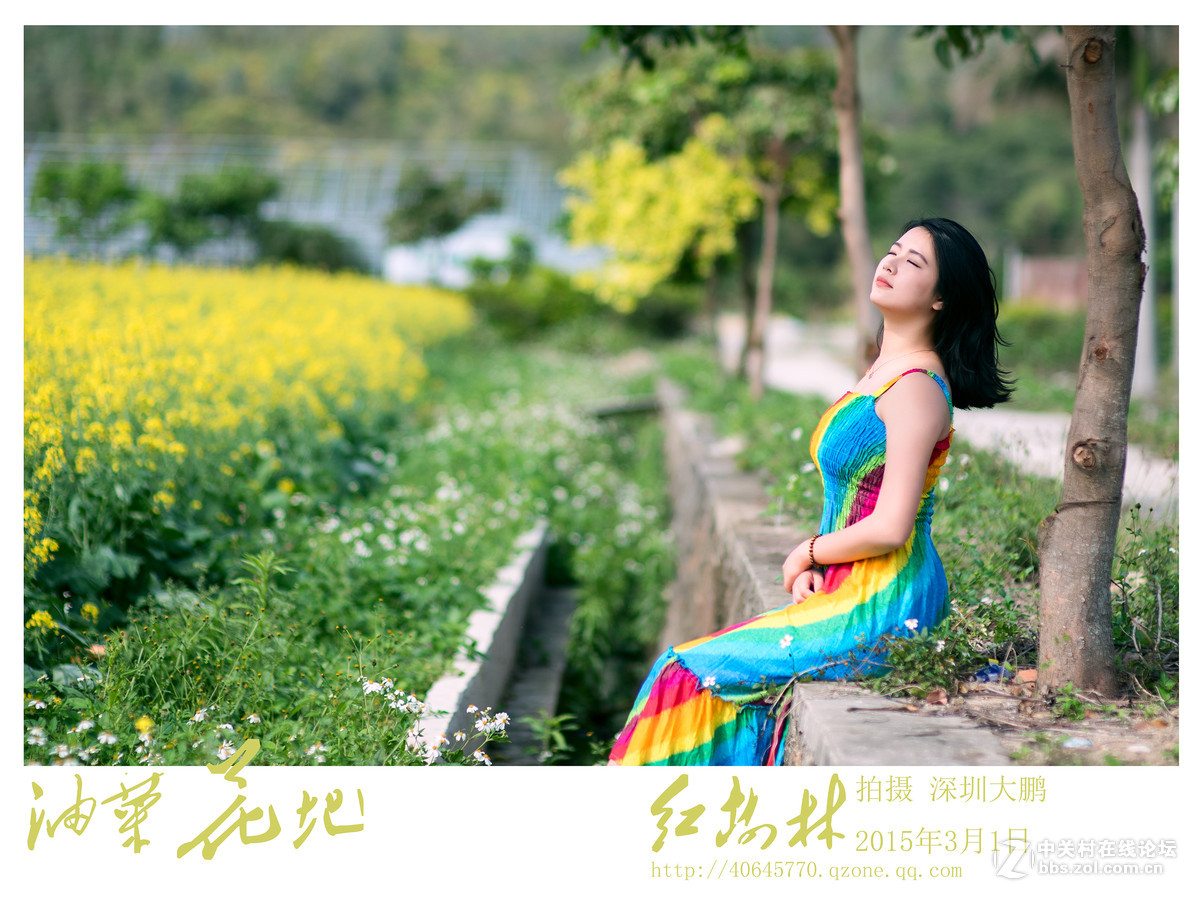 2015油菜花新年第一怕