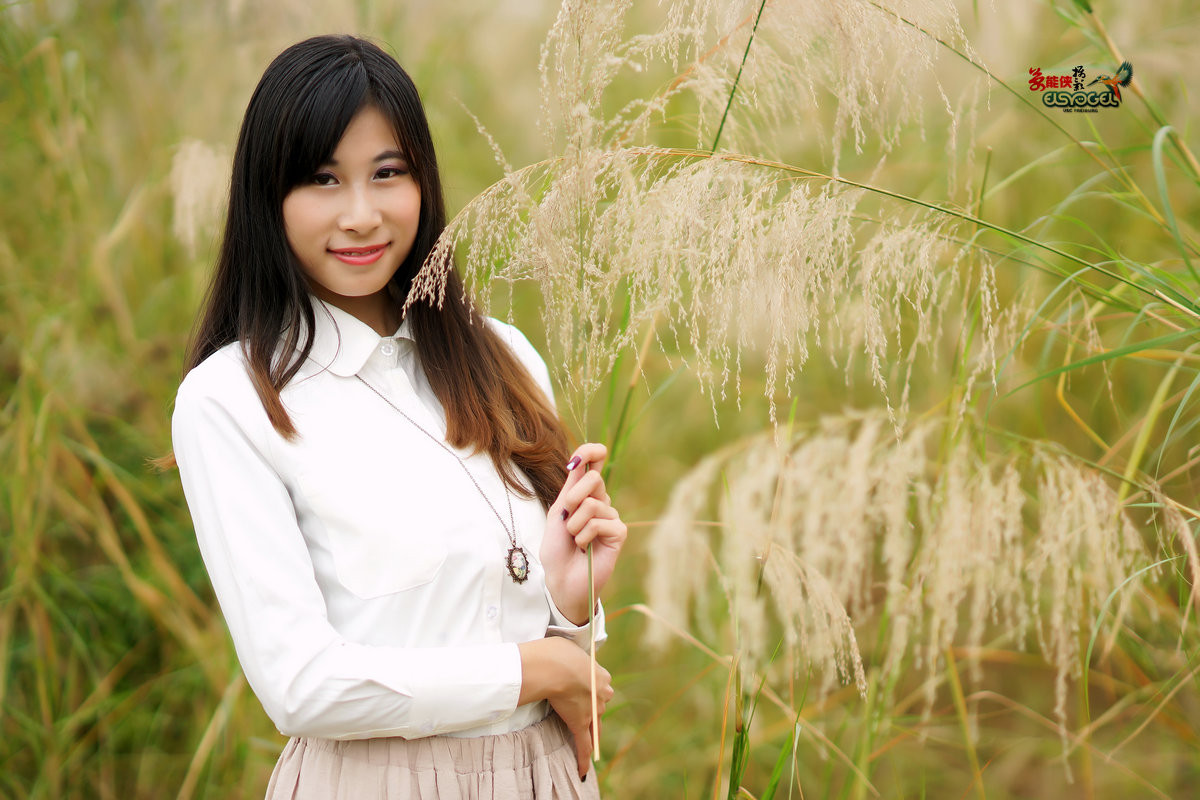 冬日芦苇少女茵茵