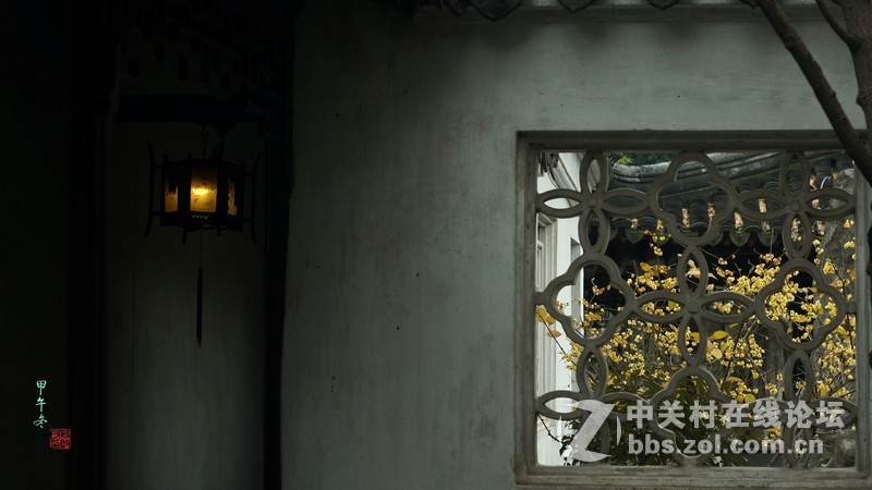 静悄悄的怡园，腊梅香香地开。