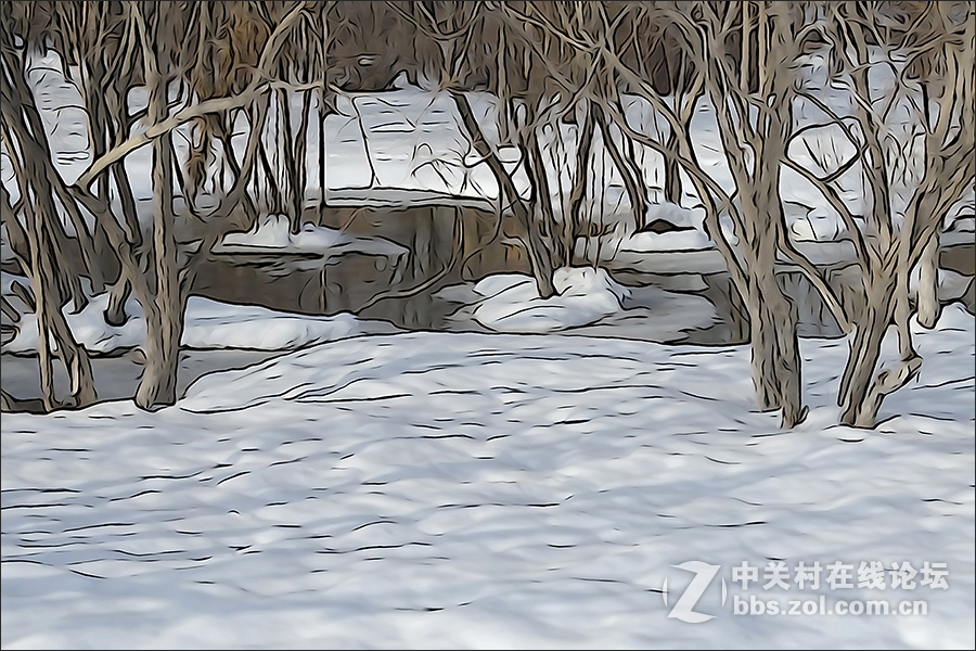 用HX400的“插图”模式拍摄的【雪景】