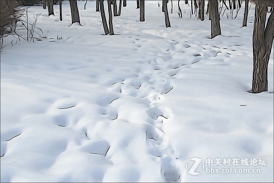 用HX400的“插图”模式拍摄的【雪景】