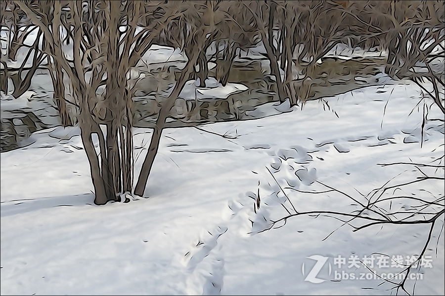 用HX400的“插图”模式拍摄的【雪景】