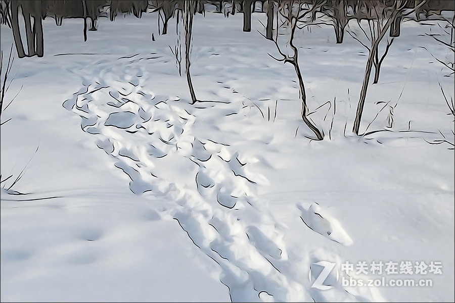 用HX400的“插图”模式拍摄的【雪景】