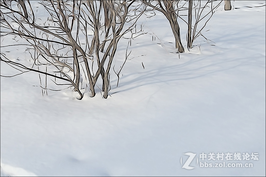 用HX400的“插图”模式拍摄的【雪景】