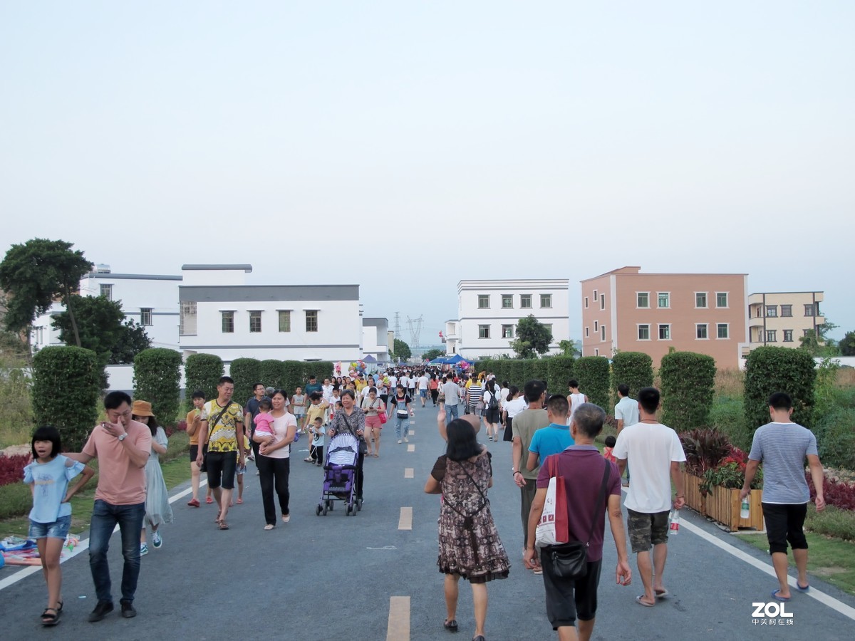 茂名市牙象村~大地艺术公园