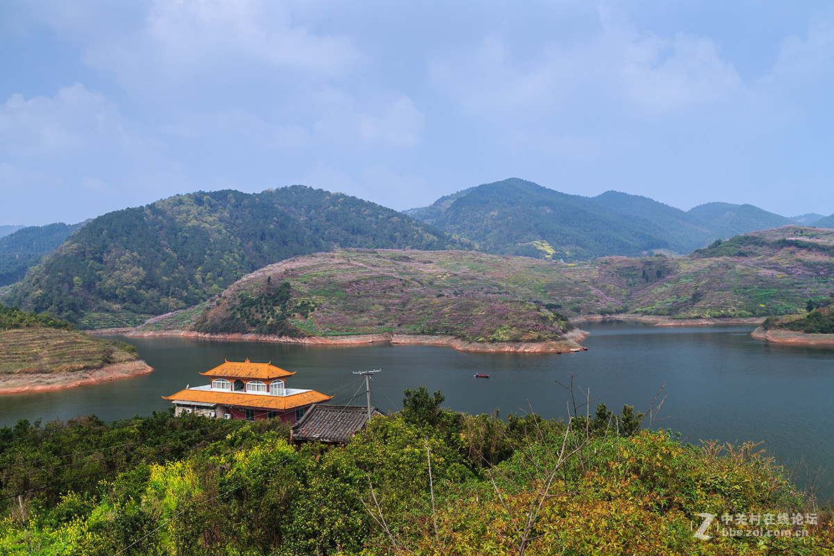 丹棱梅湾湖赏花