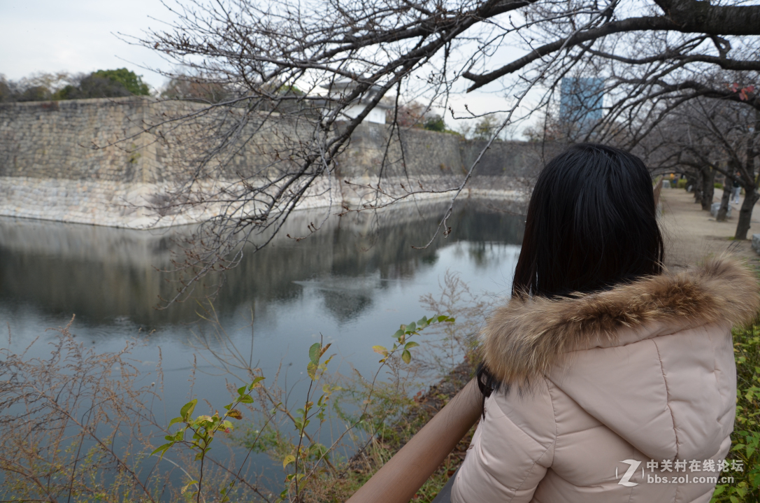 新婚日本本州蜜月之旅