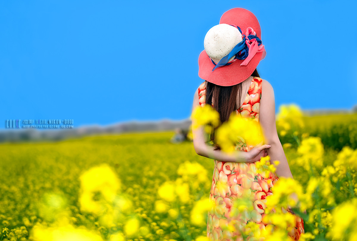 寻找尼康镜头中最美模特油菜花妹子老阿推荐