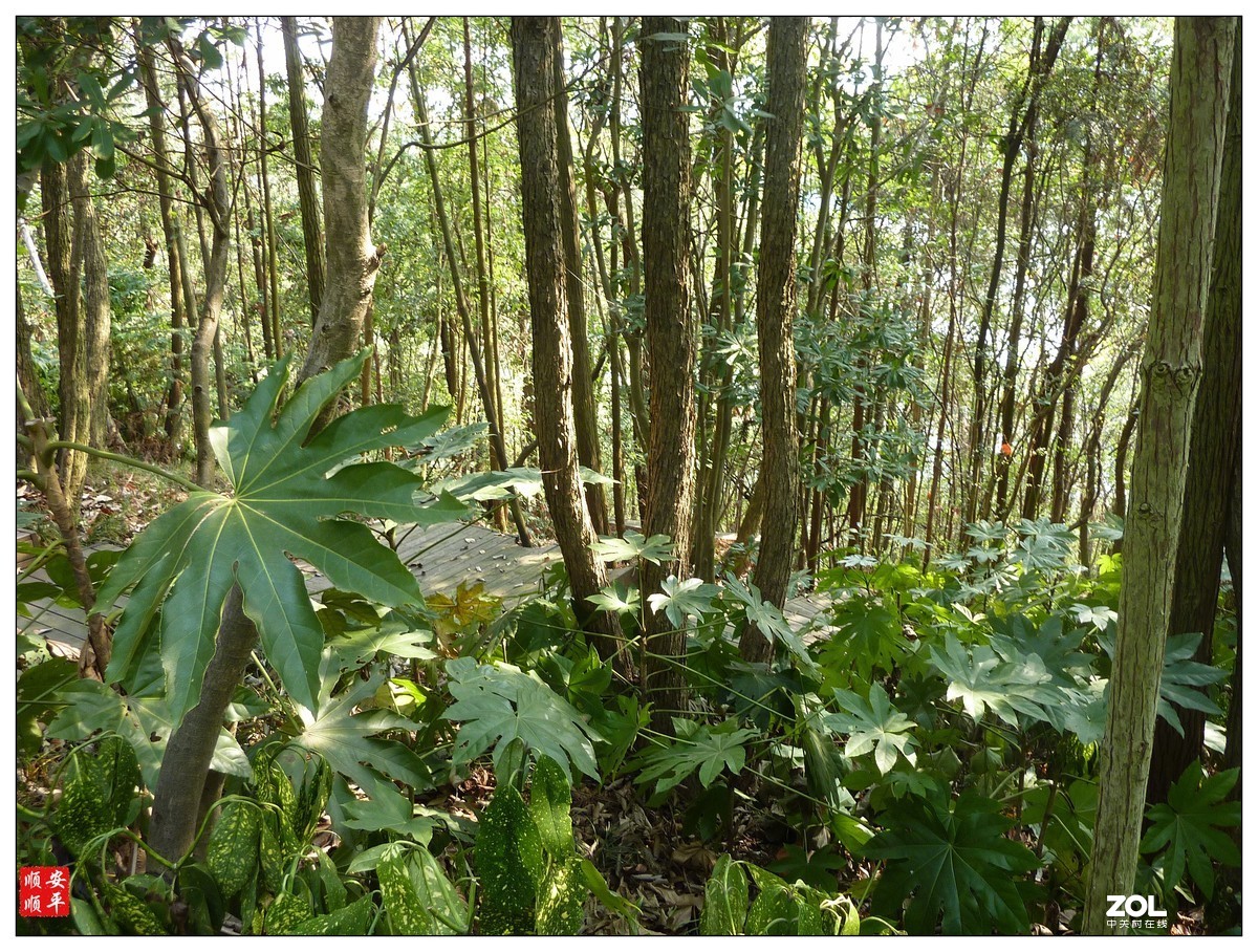 旅游随拍------江西庐山西海风景(上)