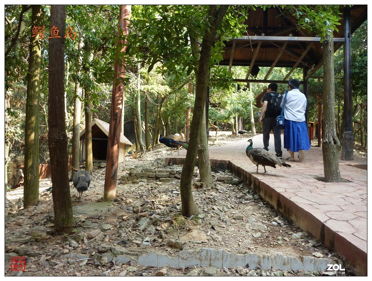 旅游随拍------江西庐山西海风景(上)