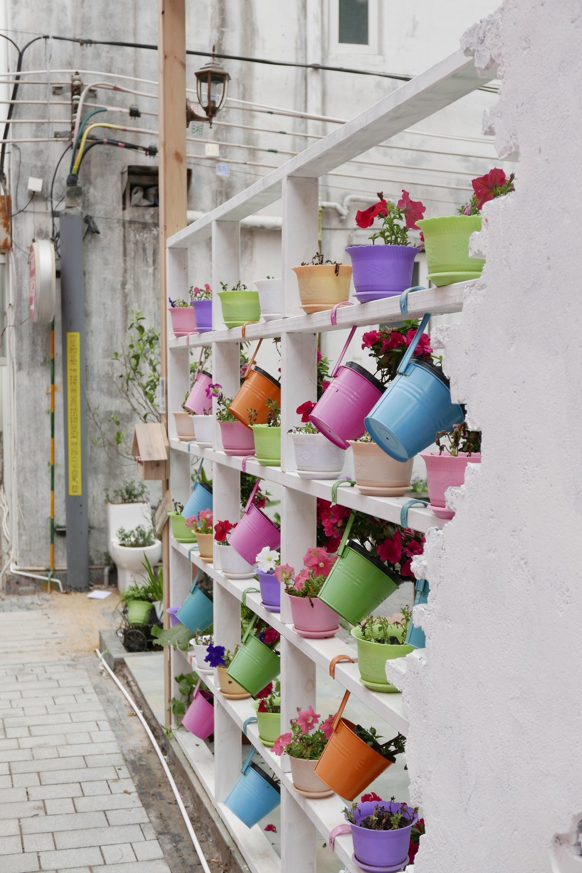 DLUX 109试机片，一不小心解毒了