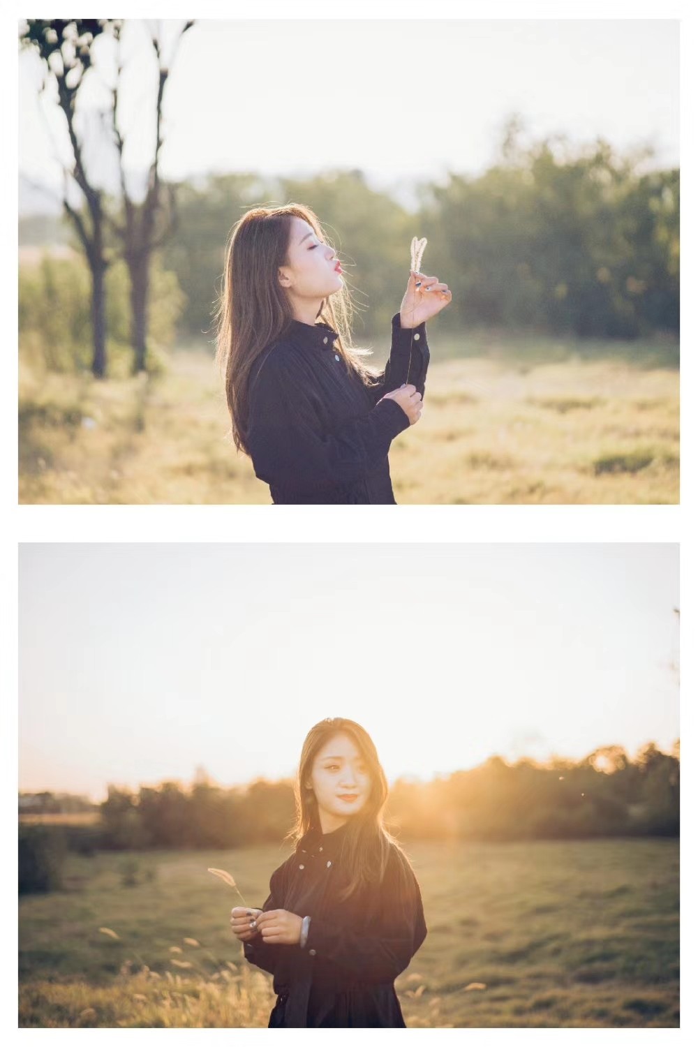 A72+蔡司Carl Zeiss Planar 1:1.4/50mm T* MMJ手动老镜头拍人像