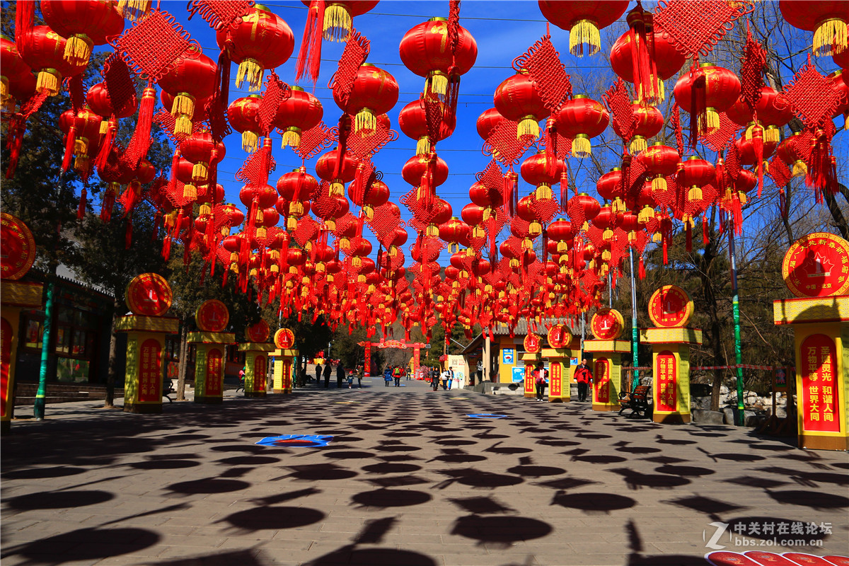 一组公园里节日风景祝贺好友；阿海神通；容任70D星空(中国)版主；祝星空(中国)红红火火。