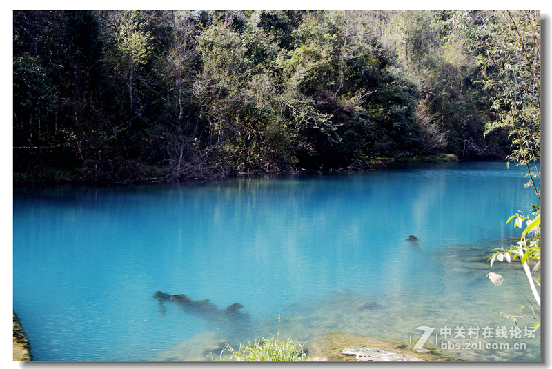 (貴州荔波小七孔)------恭賀好友Vinny視覺榮任版主