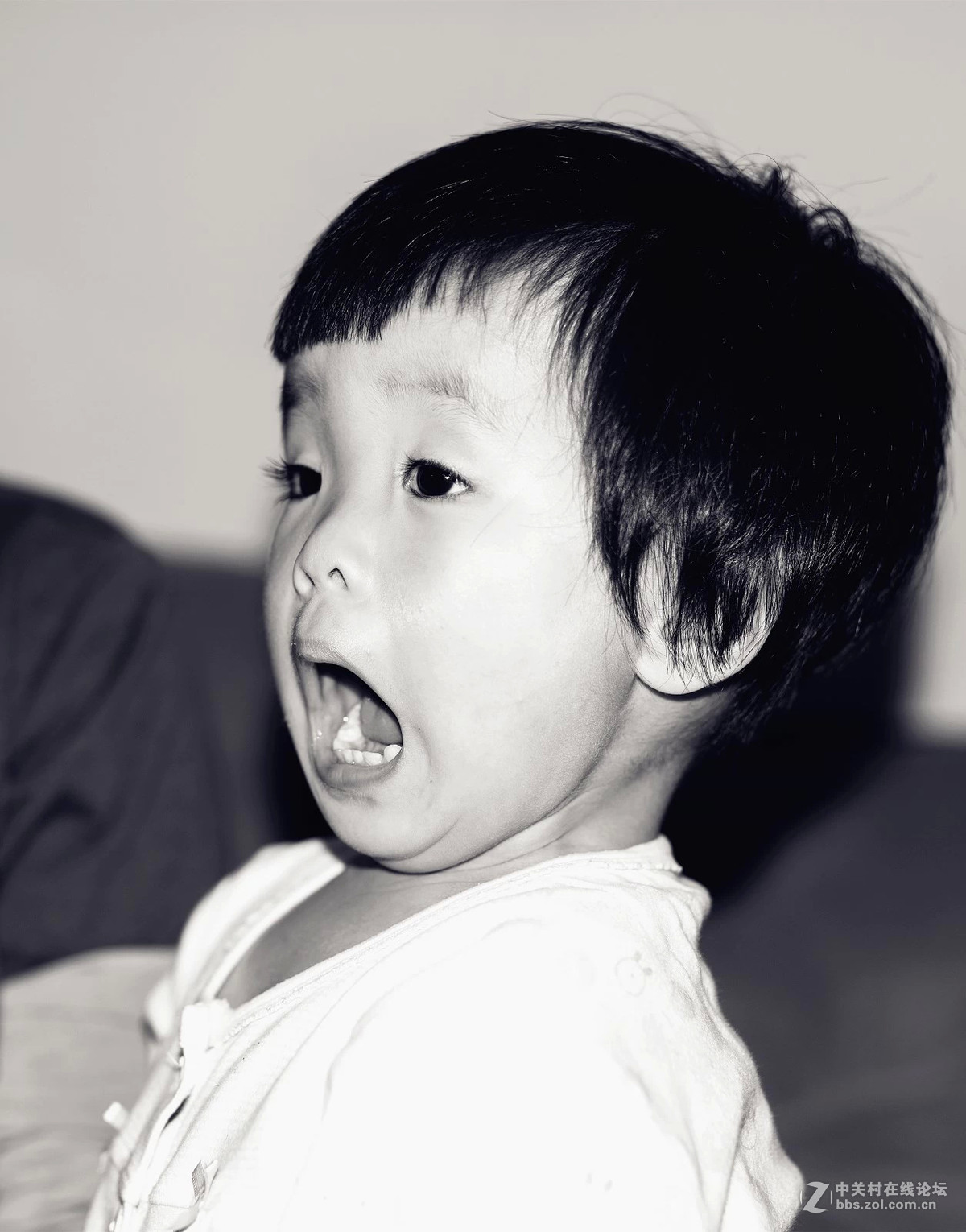 拍娃党的50A （刚才忘了点插入图片了。。。请管理员删掉）