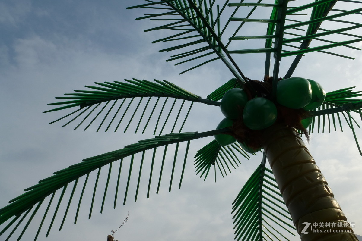 公园里，感想，感拍！